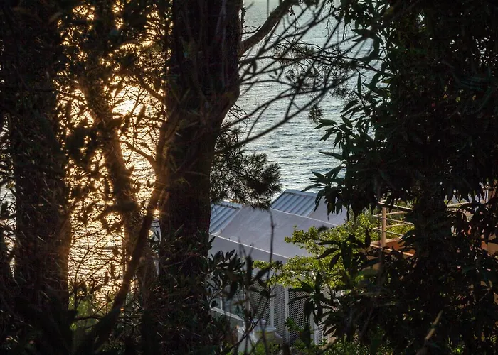 Ban * Podgora