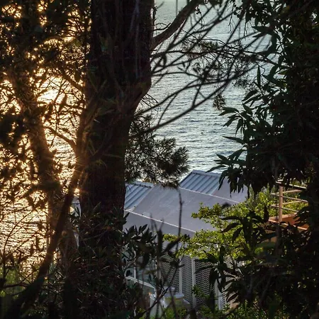 Ban * Podgora